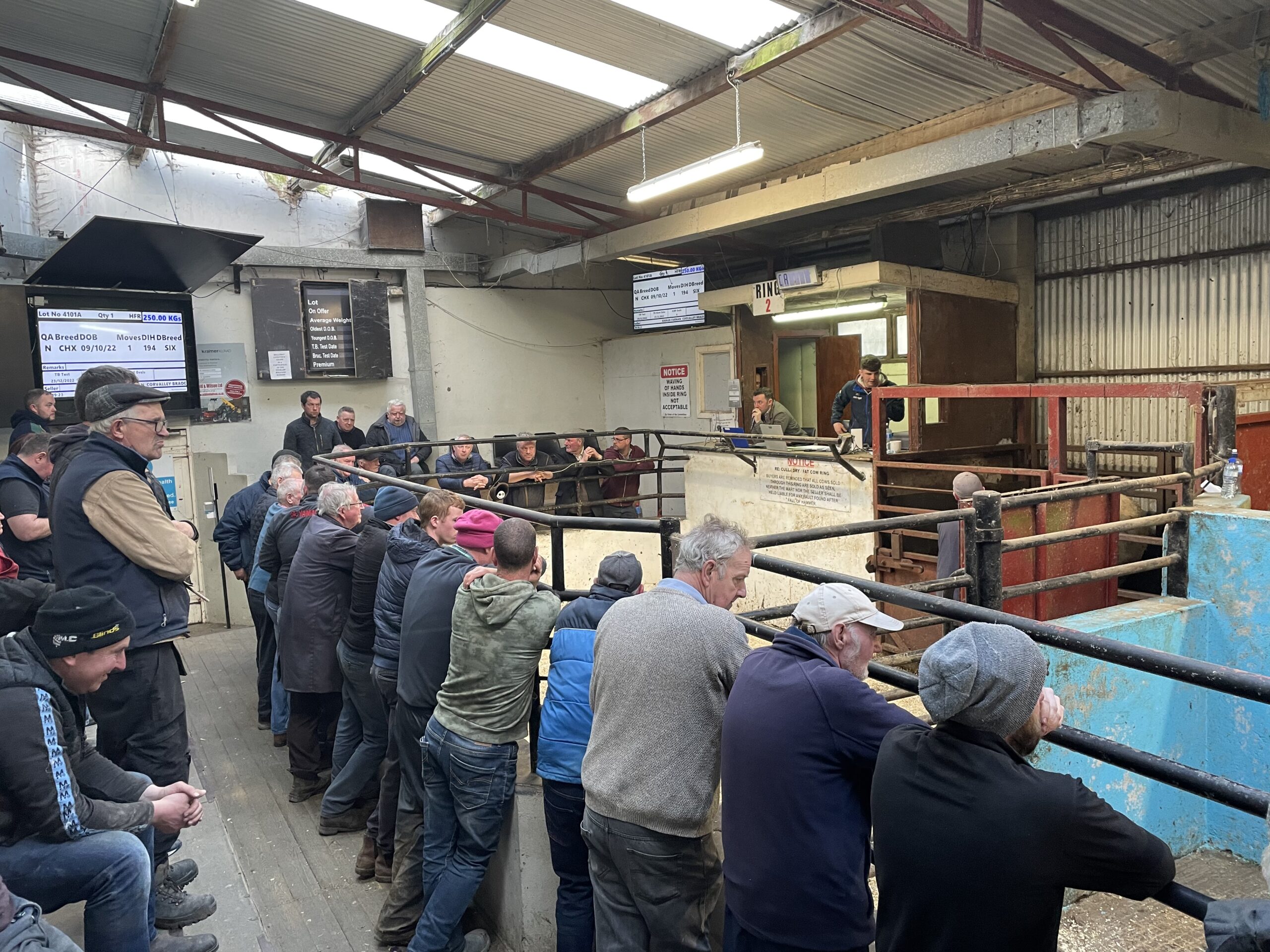 Weanling exporters ‘urged to refrain from disruption of mart sales’