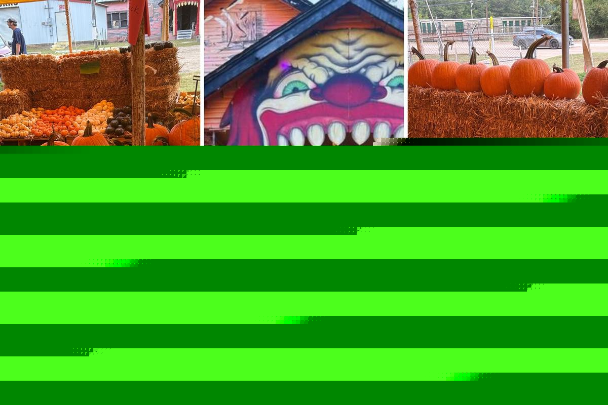 Fall Fest: Your One-Stop Shop for Pumpkins and Screams in Texarkana