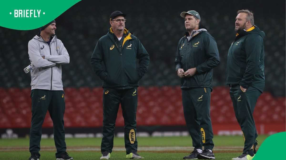 Rassie Erasmus urges courage as Springboks tackle tough 2026 international calendar