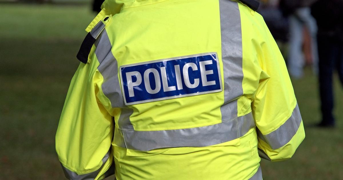 Police probe tree deliberately set on fire in York