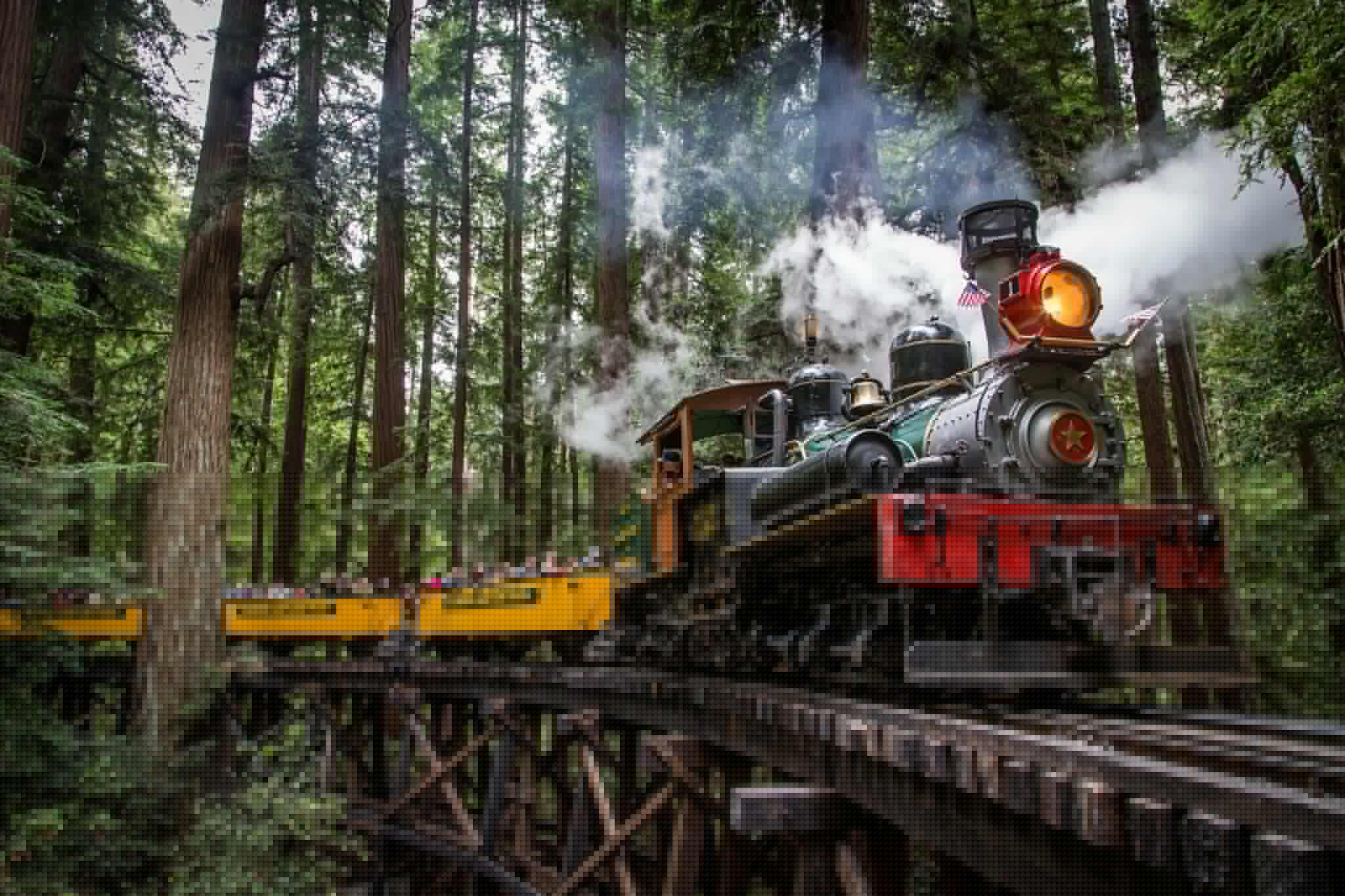 Súbete a un tren entre bosques de secuoyas y termina el viaje frente a la playa en California