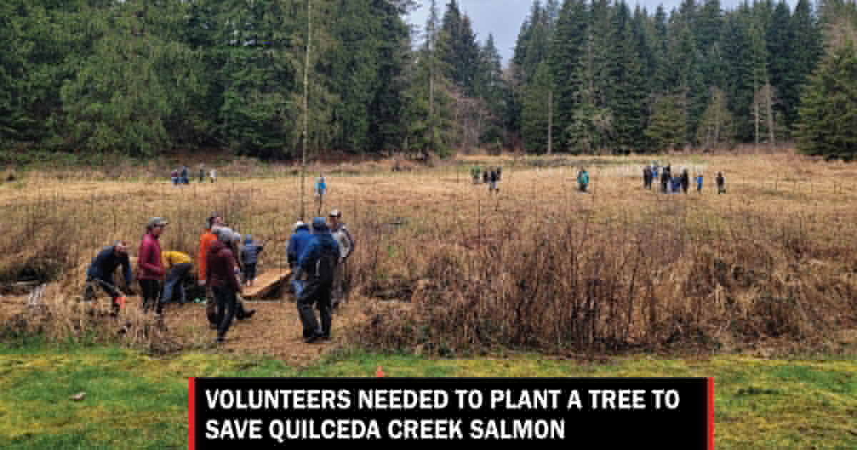 Comment on Volunteers needed to plant trees to save Quilceda Creek Salmon by binance