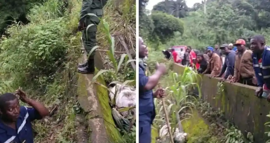 Dschang : deux corps ligotés découverts dans un ravin à la Falaise