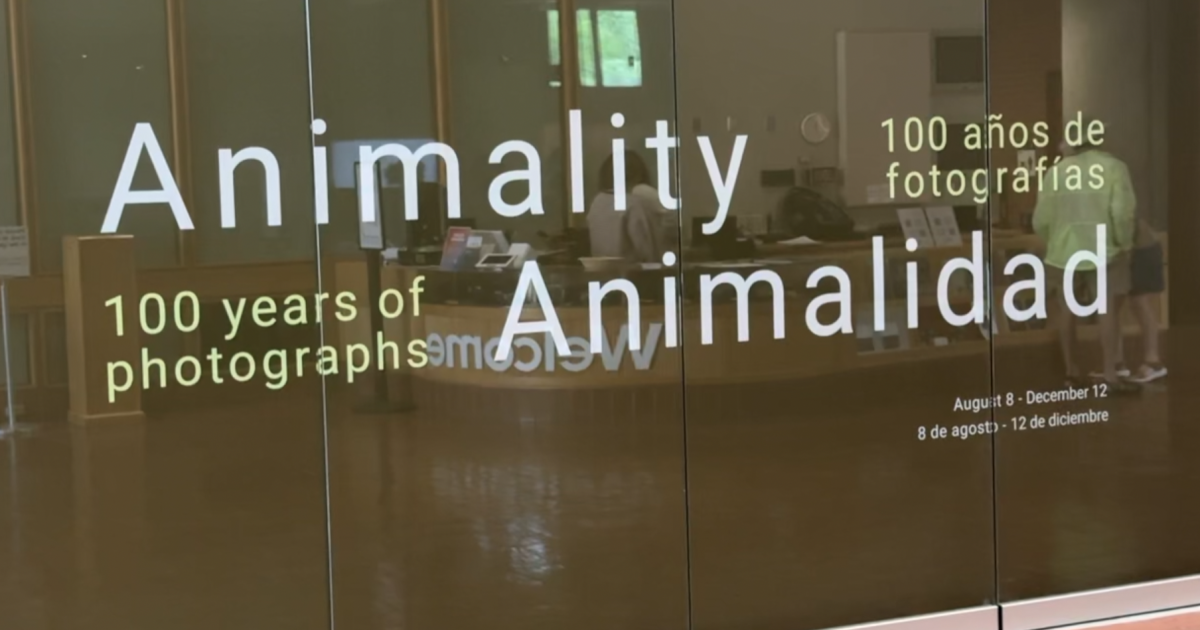 The humanity of Animality: New special exhibit at CCP puts animals at the center of the lens