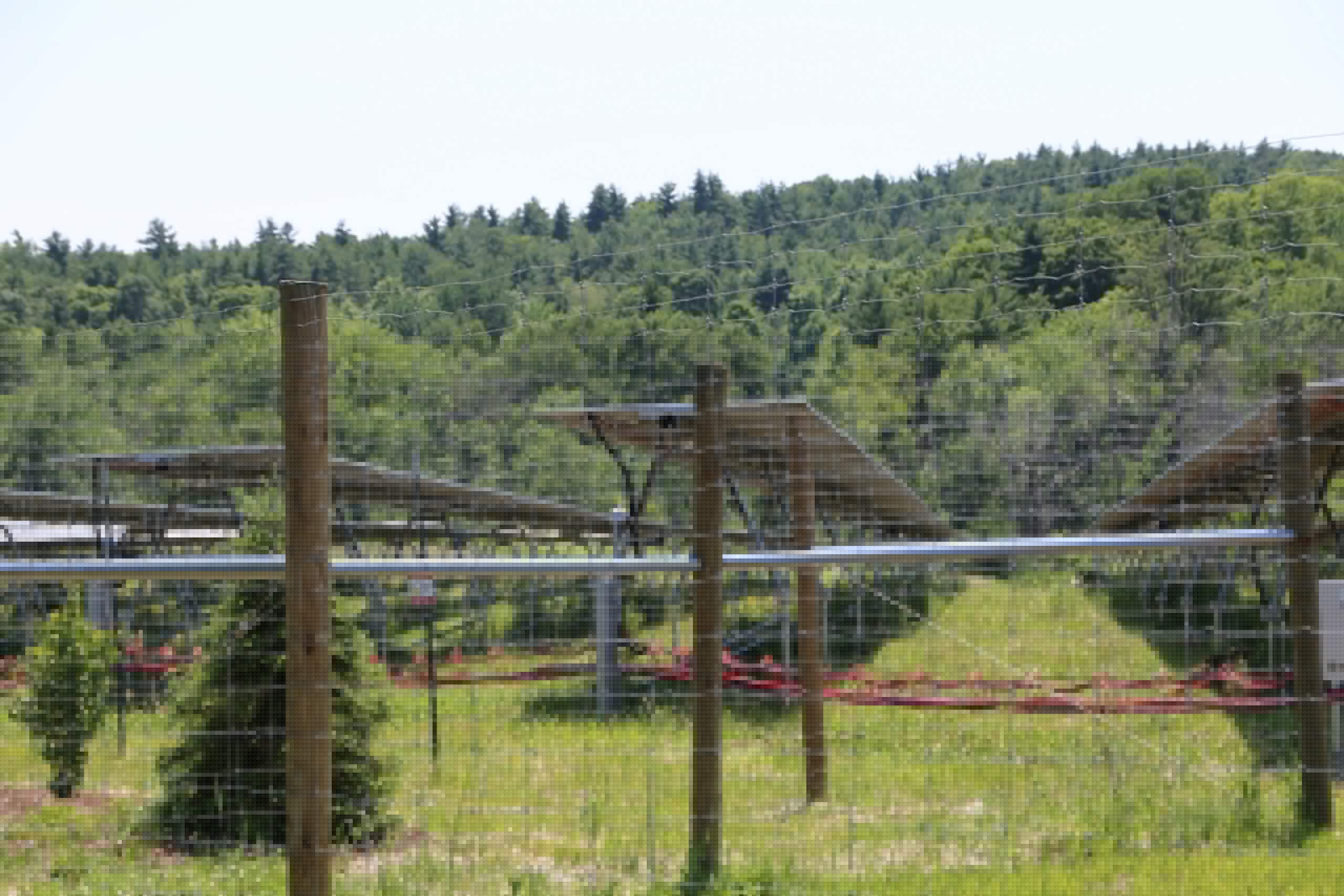 COMMENTARY: It’s time to embrace the Adirondacks’ electromagnetic legacy and lead on clean energy