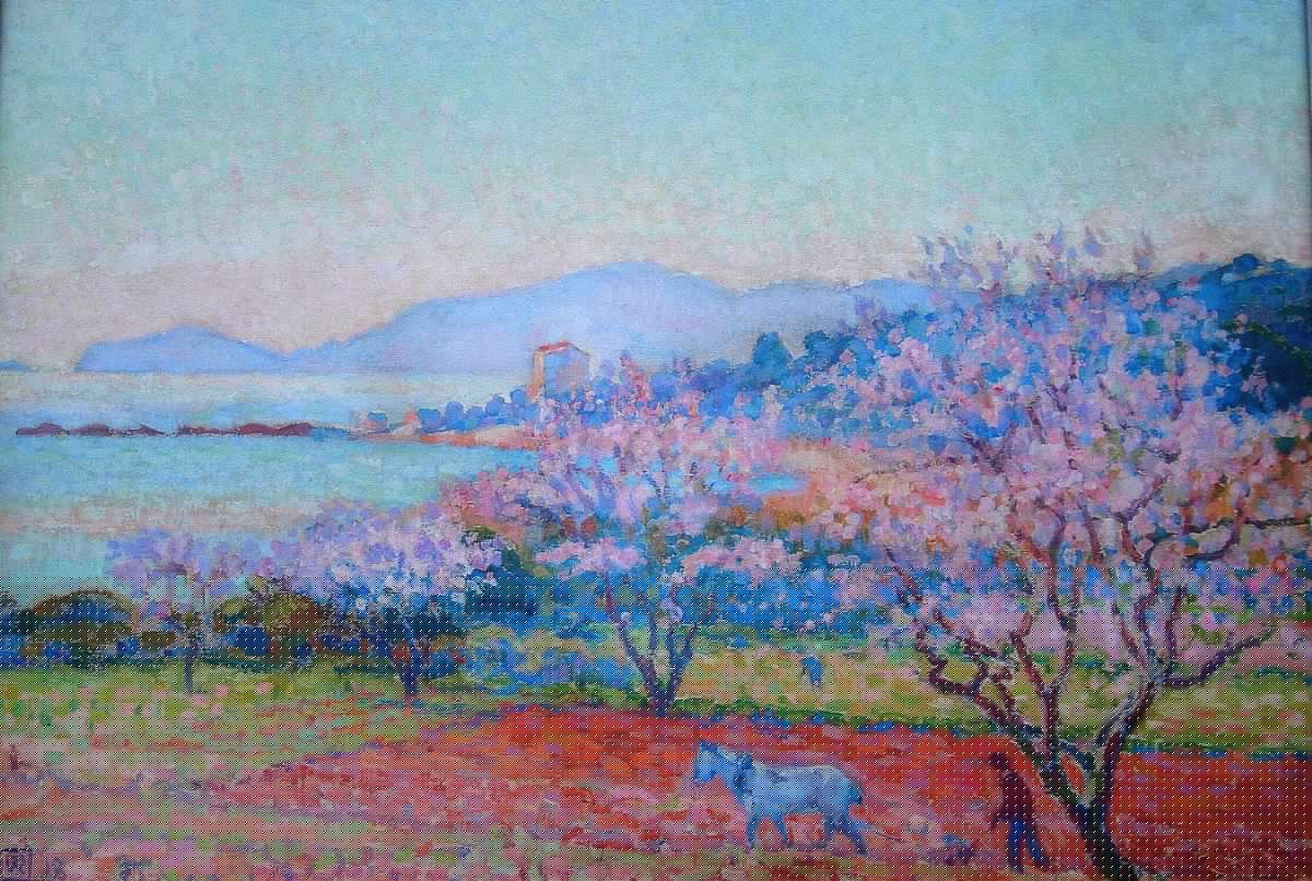 Portraits of trees: Walnut and Almond