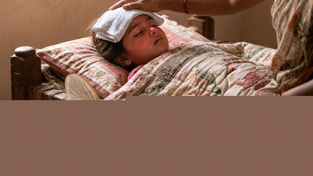 22 children dead in Gujarat due to Chandipura virus; 35 cases confirmed, govt issues fresh advisory