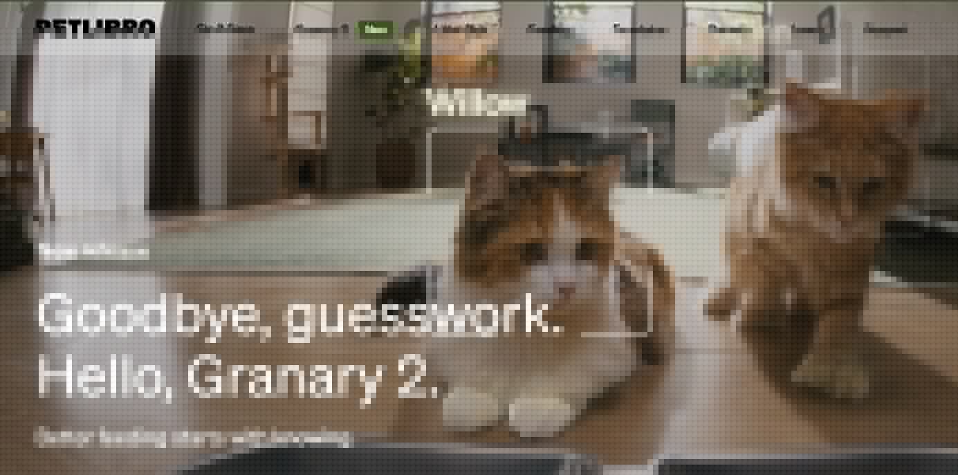 PetLibro App Down Again? Users Report Feeder Connectivity Issues For A Second Straight Day
