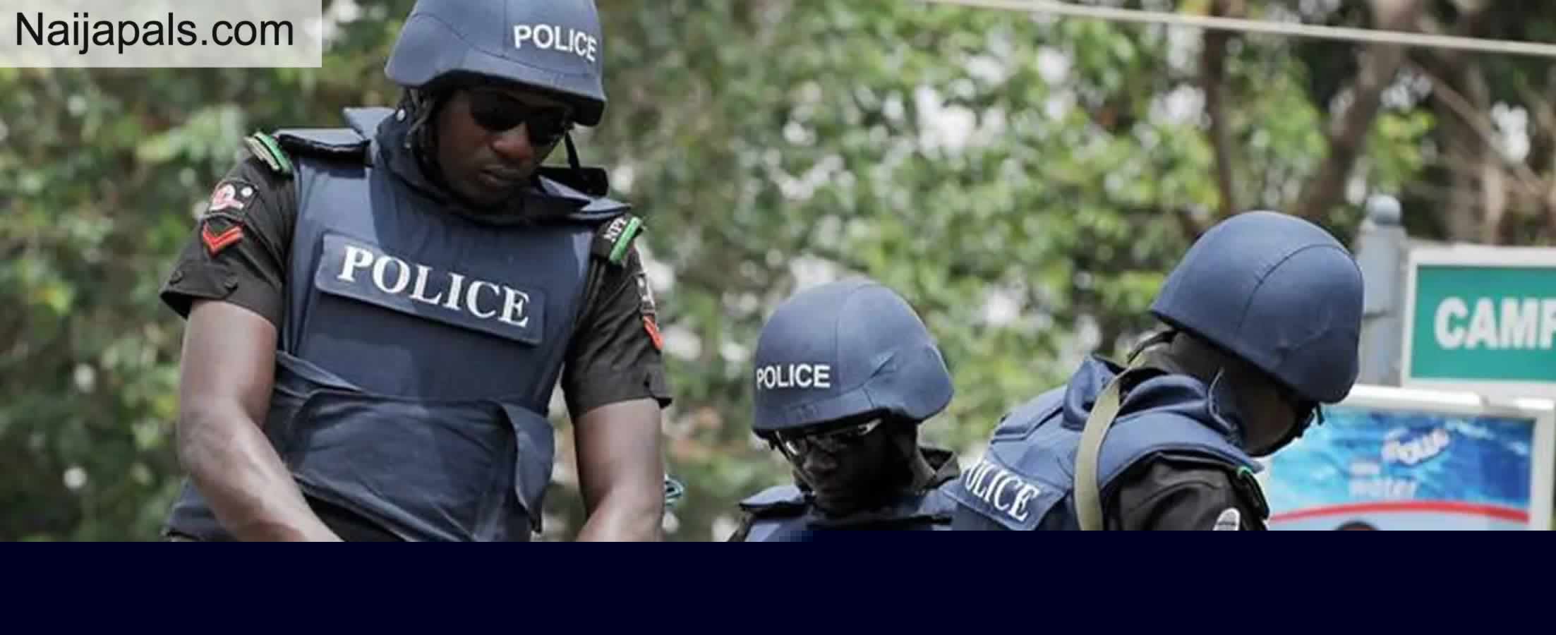 20-Year-Old Tukur Bello Arrested in Niger Over Alleged Attack, Attempted Kidnap of Two Women