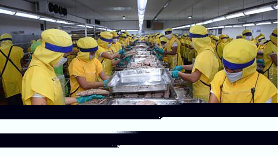 Century Pacific first-half income rises 6%