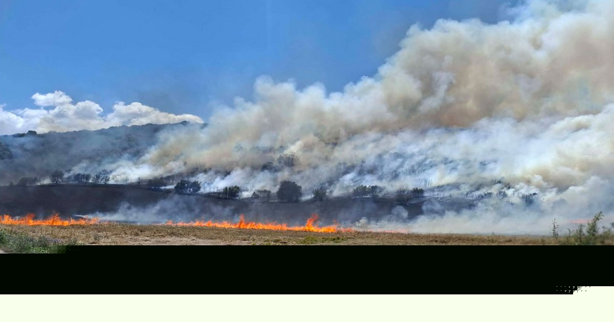 Φωτιά στην Κρήνη Φαρσάλων -Σηκώθηκαν τρία εναέρια μέσα, ήχησε το 112 [βίντεο]