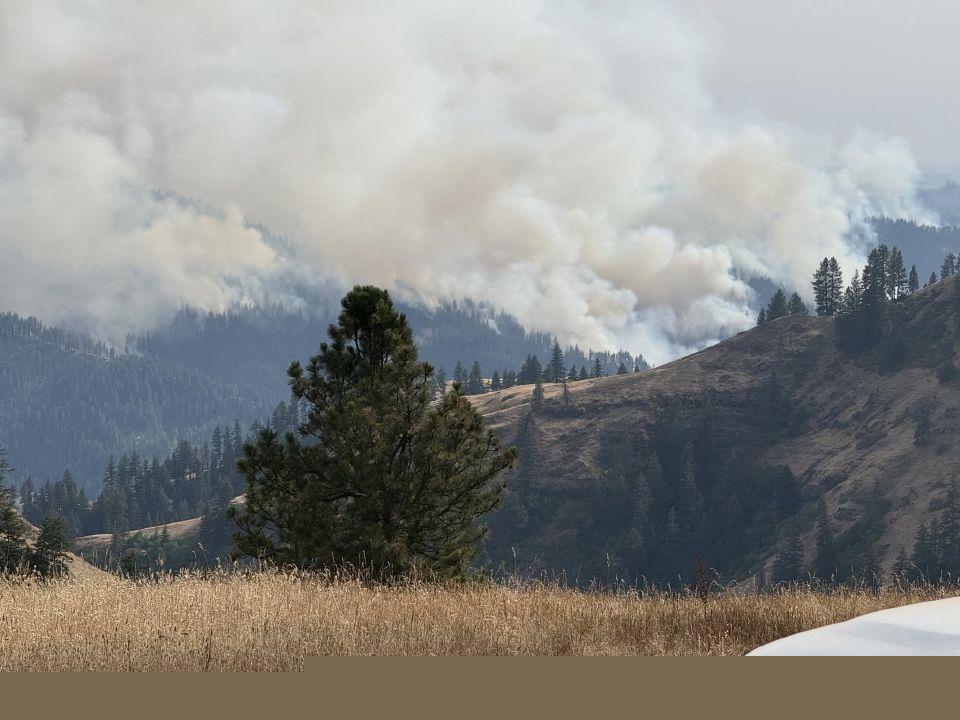 Bentz, Merkley team up on wildfire reduction act