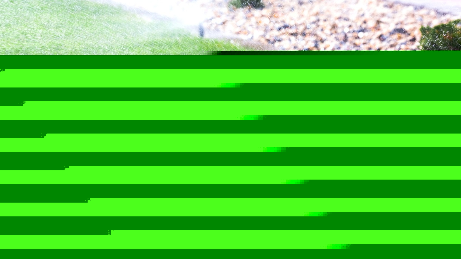 Why Homeowners Are Ditching Sprinklers And What They're Using Instead