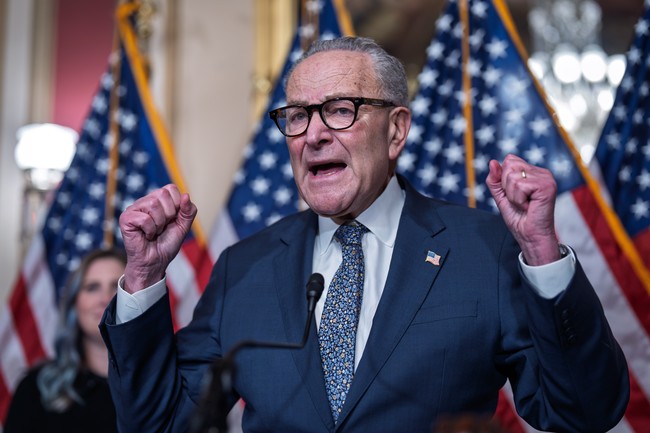 Watch: Things Do Not Go Well When Chuck Schumer Gets Blasted by Protester