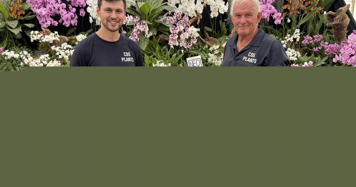 Taunton man living near Weston brings Chelsea win back to 'hometown' flower show
