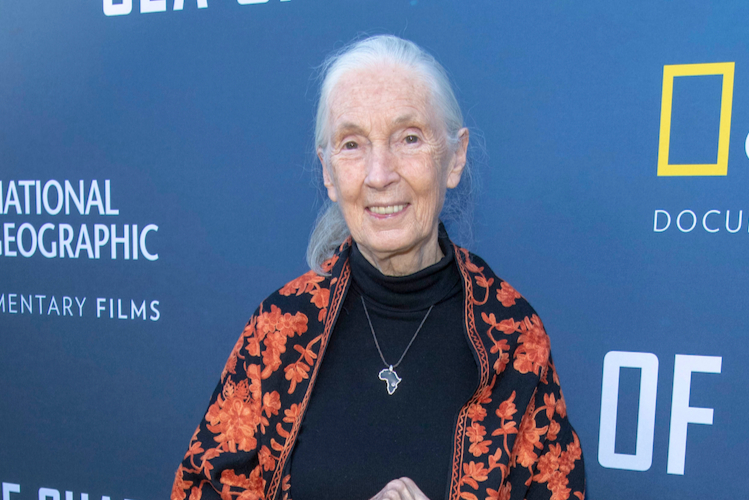 How Jane Goodall inspired my love of geography