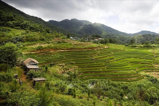 Mung hamlet: A blooming village rising as a community tourism gem