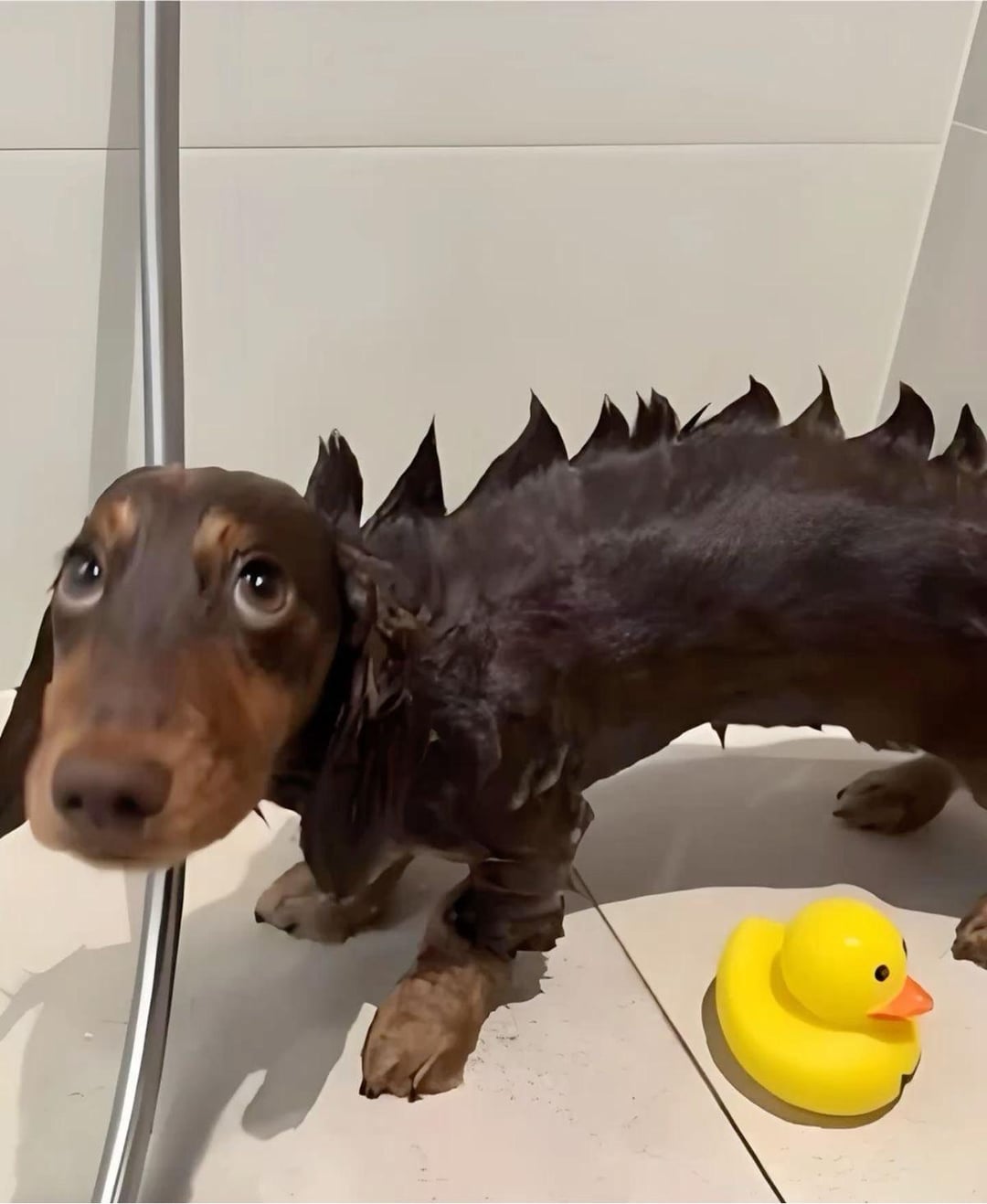 /r/Hmmm - Dinosaur