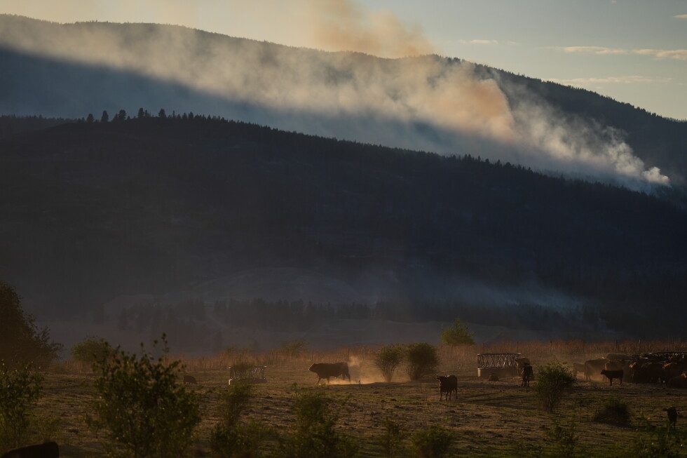 Wildfire destroys about 230 homes in western Canadian Indigenous community, officials say