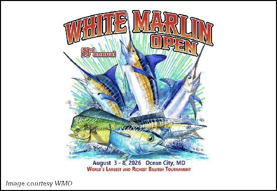 White Marlin Open Begins Monday – 334 Boats Taking Part