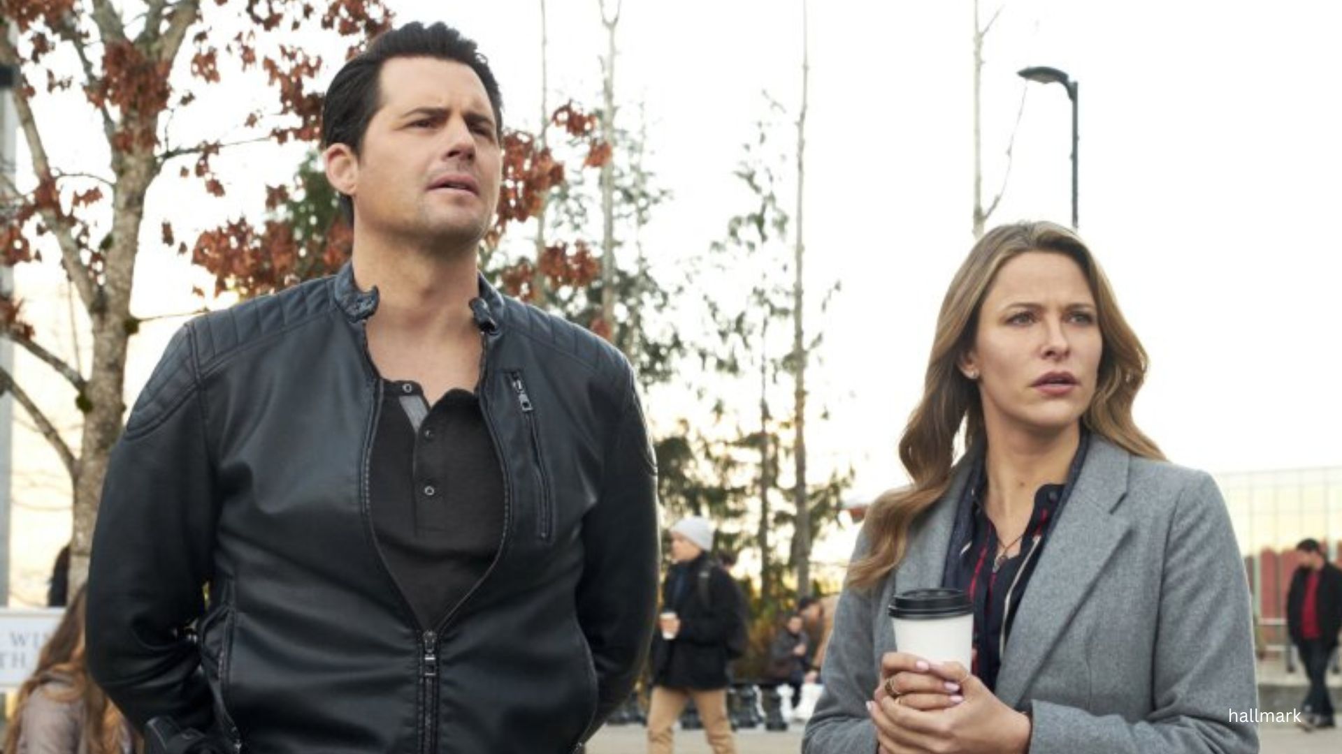 Comment on 5 Hallmark Mystery Heroines Fans Absolutely Love by Pam