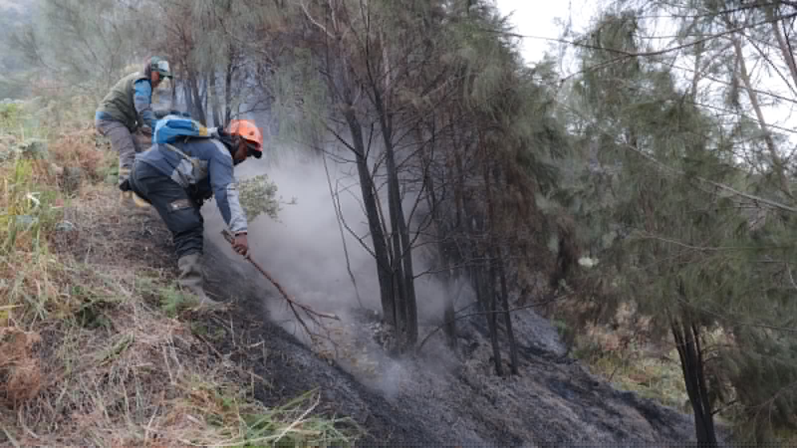 Wildfire at Indonesia's Mount Bromo mostly contained as smoke forces school closures