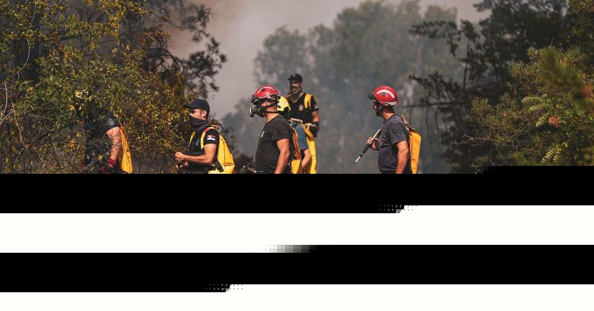 Najtužnija strana šumskih požara: Iz "Srbijašuma" otkrivaju šta ni gašenje vatre ne može da vrati