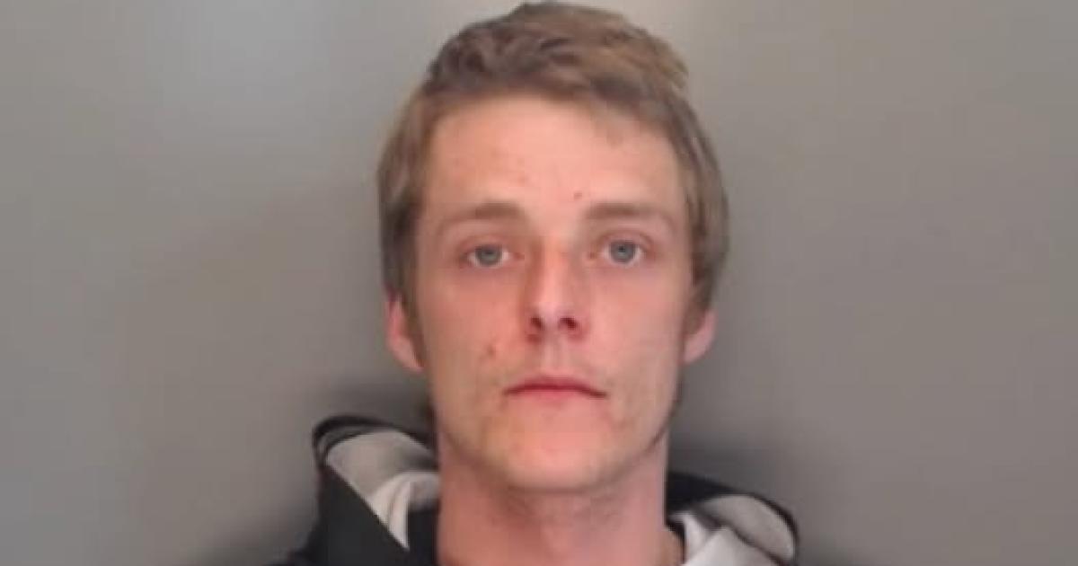 Banned driver was found 'screaming in pain' after crashing into tree in police chase