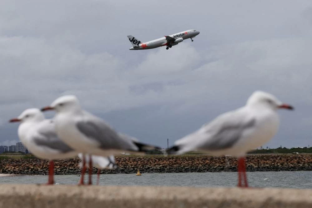 Budget airline to charge for overhead carry-on bags
