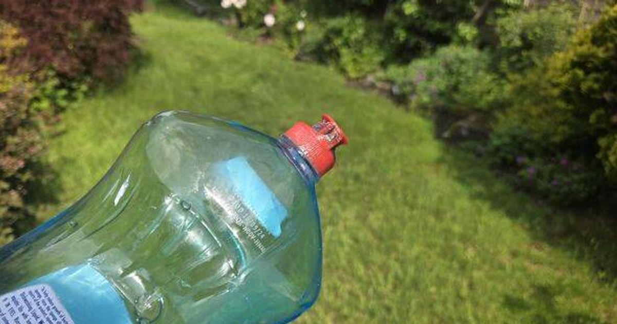UK households told to pour washing up liquid over grass in October