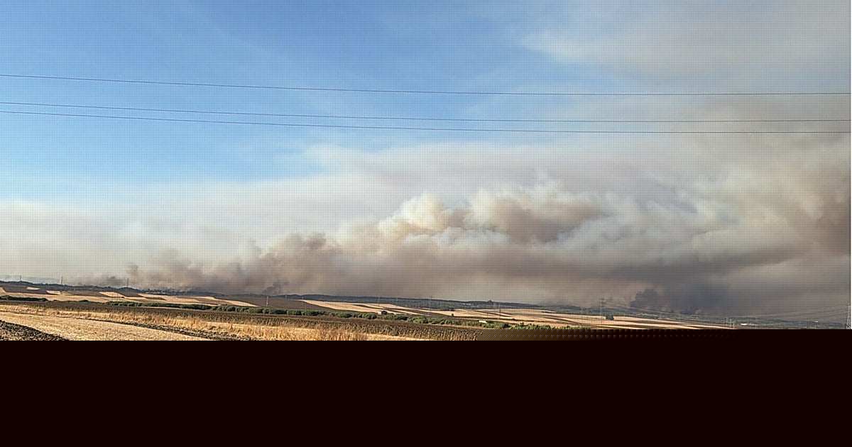 La FAC entregará tres toneladas de grano a las sociedades de caza afectadas por el incendio de Niebla