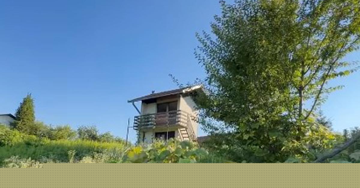 Justus Reid bunker gradi že dva meseca, razkril je tudi nove velike načrte