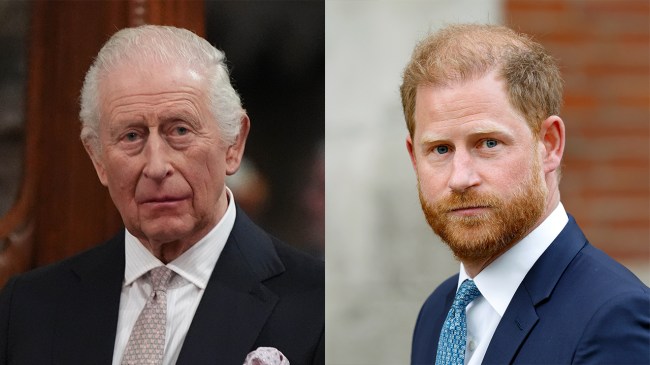 Harry & Charles’ Relationship Is Reportedly ‘Standing Completely Still’ Amid Claims the Prince’s ‘Fear of Going Bankrupt’ Drove Their Reunion