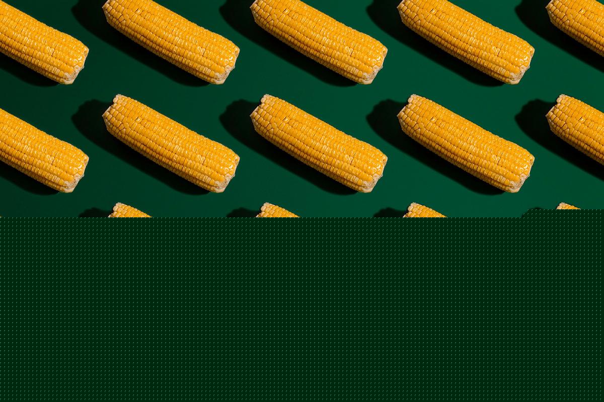 Know Before You Go: The 2026 St. Jude Sweet Corn Festival