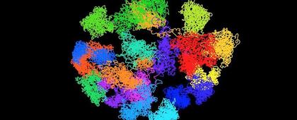 3D Images provide first look at how DNA shapes itself inside cells