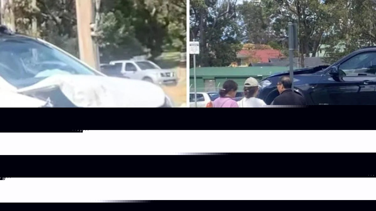 Man bites cop after highway rampage
