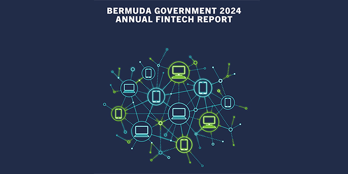 Government Release 2024 Fintech Report