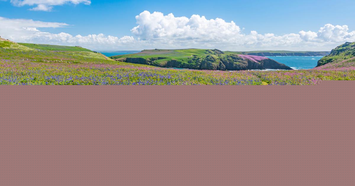 Two West Wales wildlife hotspots named among the UK's best coastal destinations