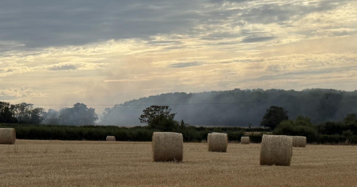 Minibus, bin store and 16 acres of grassland damaged by blaze in Somerset