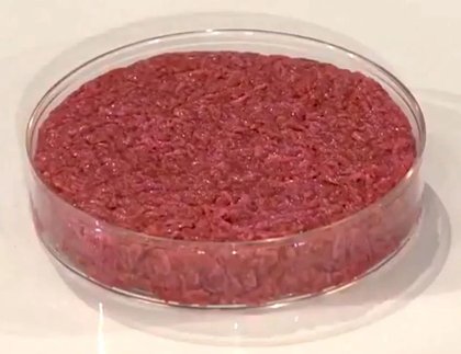 Suit challenging TX lab-meat ban allowed to stand