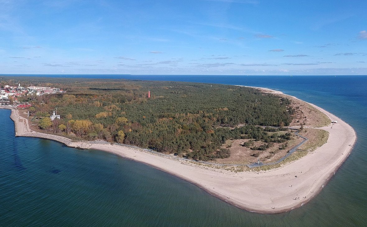 Wstydliwa współczesna wycinka lasów
