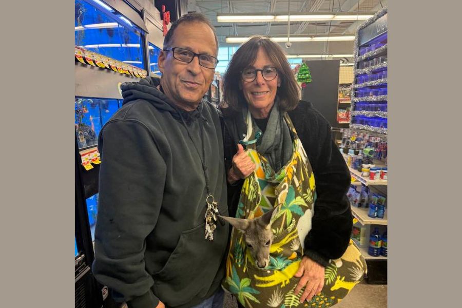 Kangaroo and sloths found in car near Locust Valley coffee shop, town says