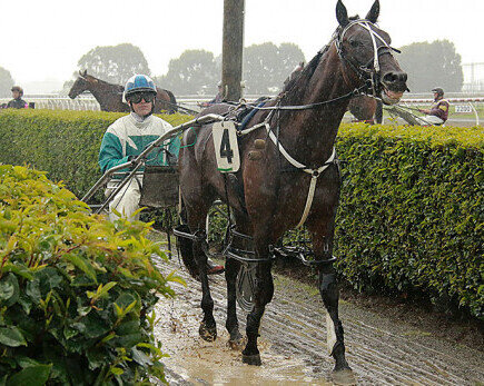 Larsen back home and with two good chances on Sunday