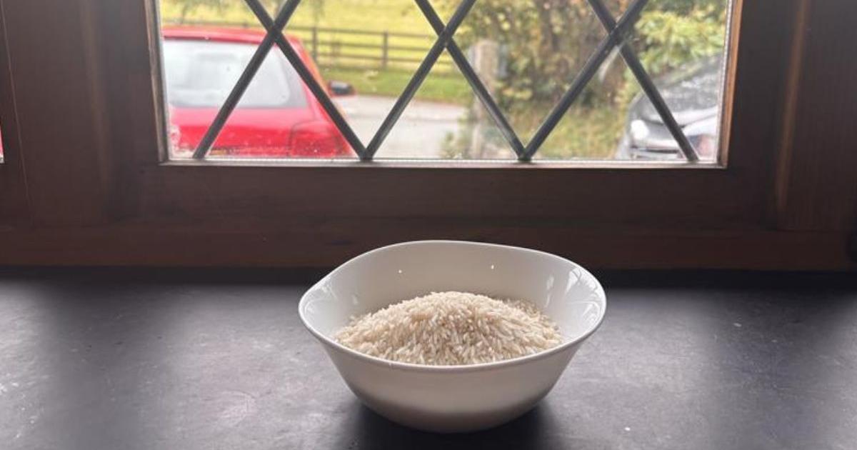Brits urged to put bowl of cheap rice on windowsill before the end of 2025