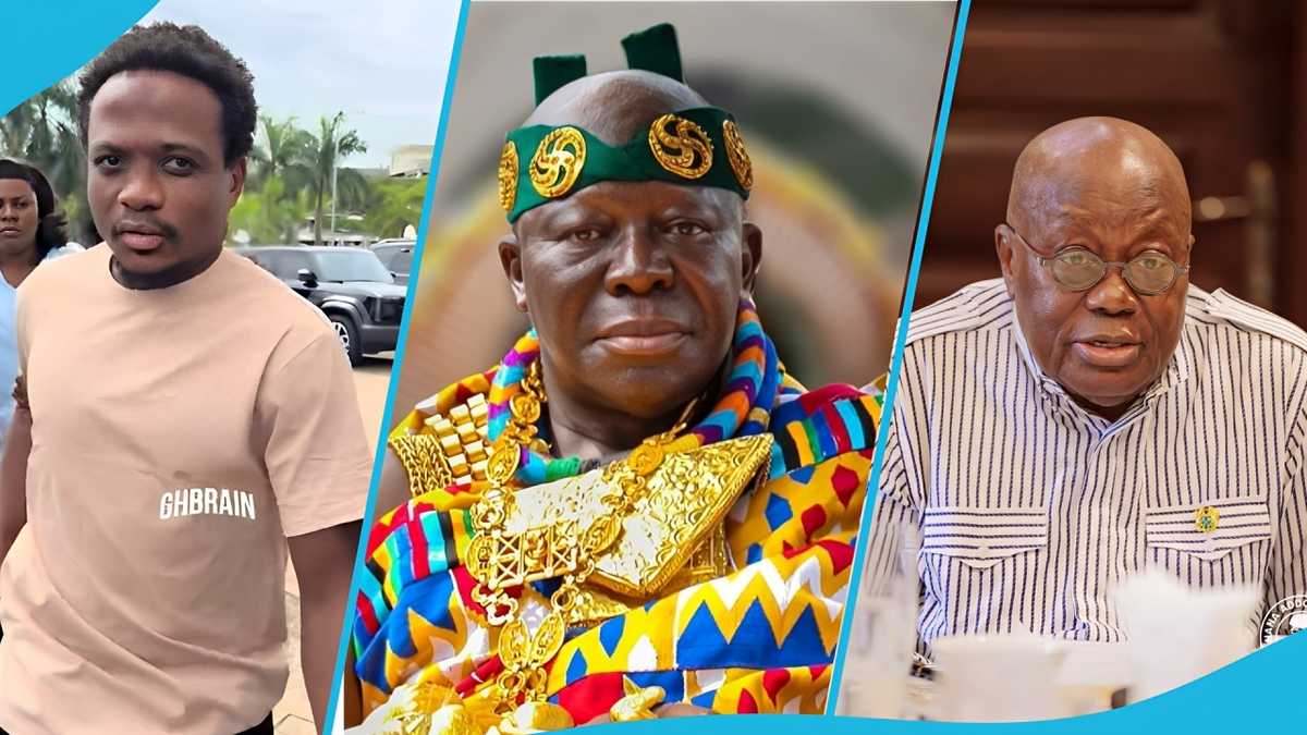 "Naive and stupid": Shatta Wale fan Webkid Africa sends strong message to Asantehene, Akuffo Addo and top officials