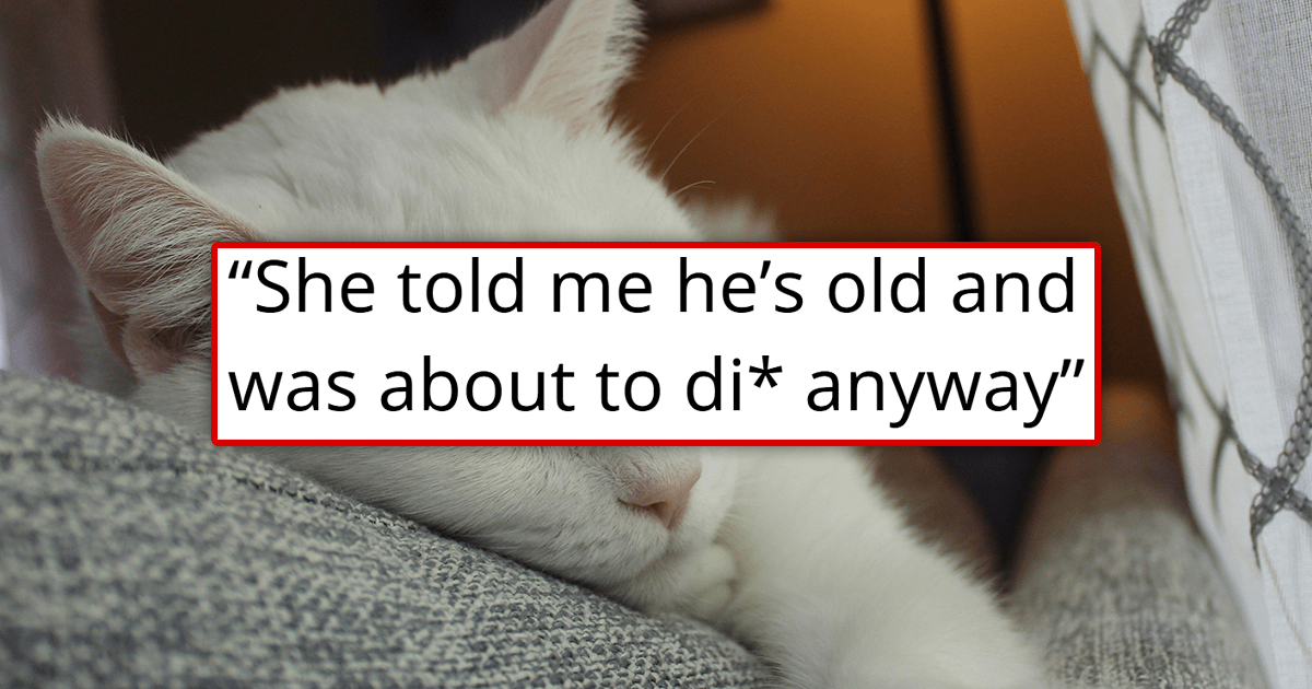 'Now we can finally throw his ugly stuff out': Girlfriend humiliates her boyfriend for missing his 15-year-old cat who ran away, he breaks up with her, and the cat comes back
