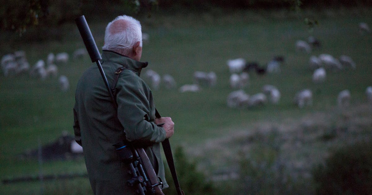 When Is It Right to Kill a Wolf?