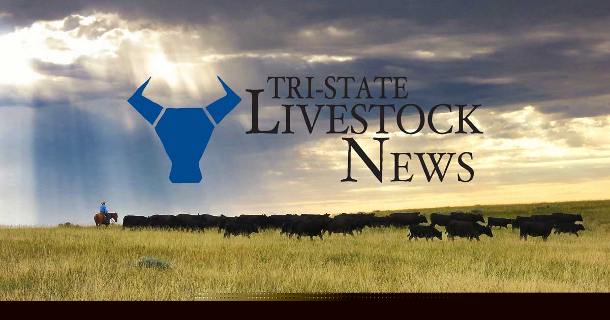 NCBA announces prestigious Environmental Stewardship Award regional winners
