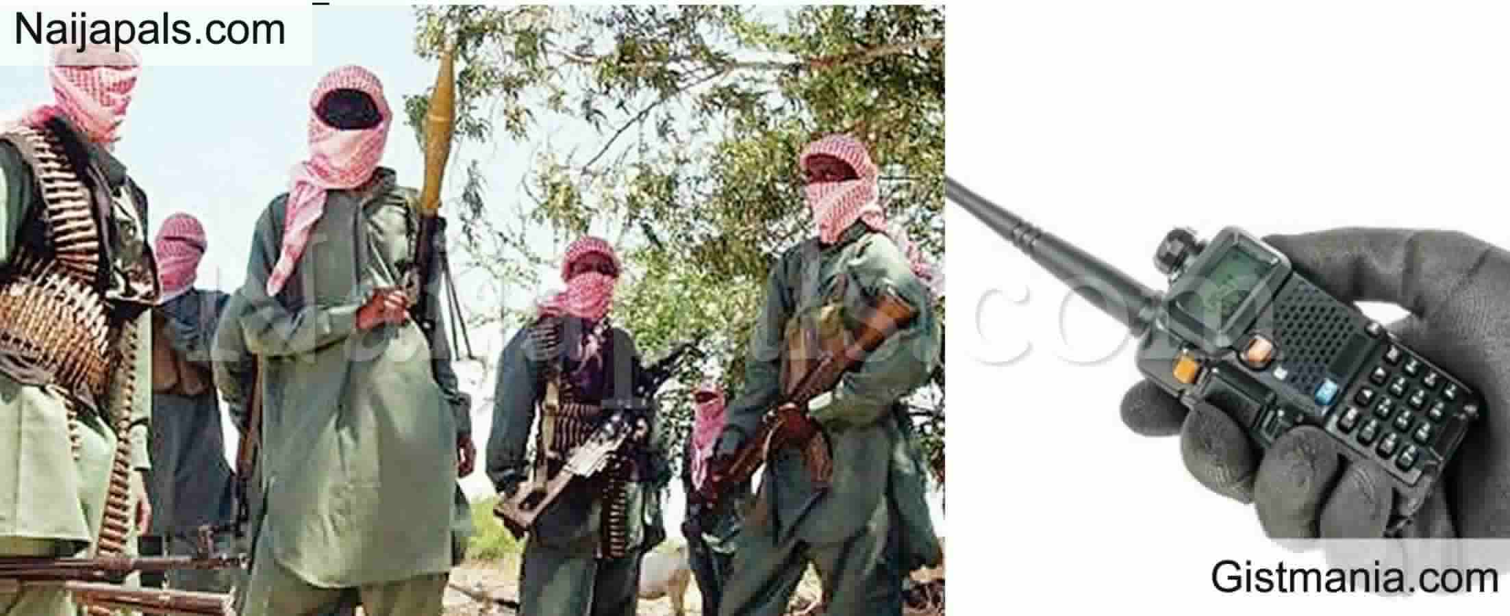 Two Sons of Miyetti Allah Chairman Killed as Gunmen Attack Cattle Settlement in Enugu