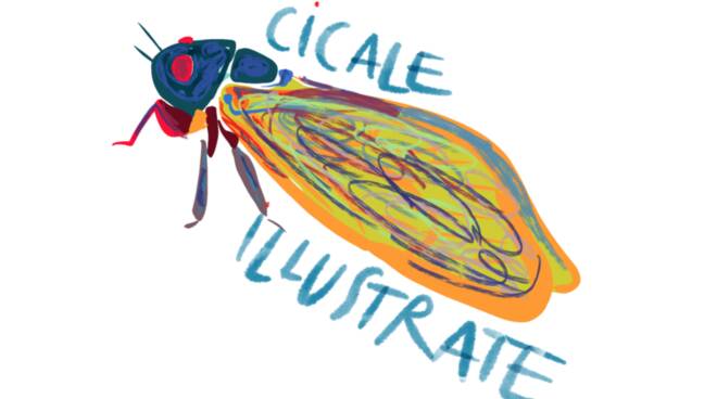 Premiazione de Le Cicale Illustrate: a Brescia i giovani talenti dell’illustrazione